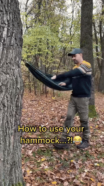 DreamNest Hammock